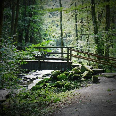 Fewo Kedo Neukirchen vorm Wald 외부 사진