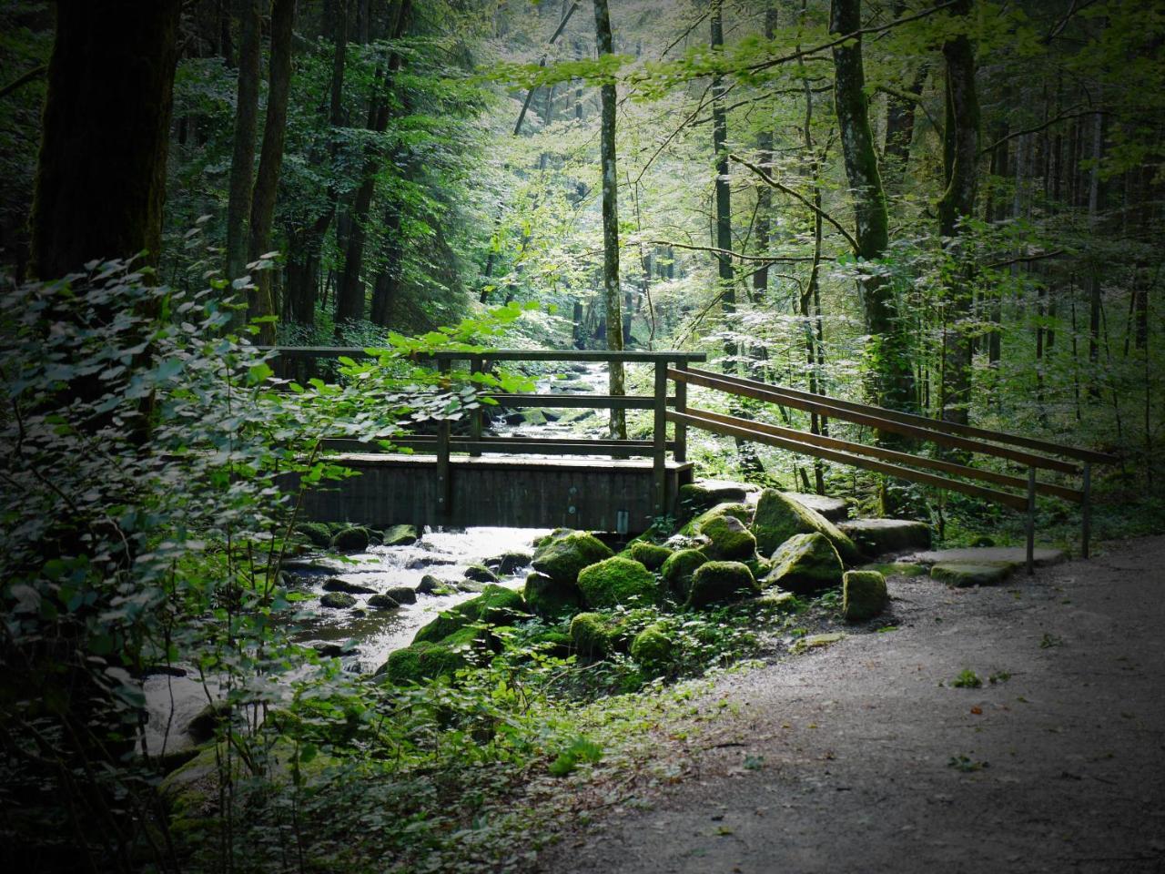 Fewo Kedo Neukirchen vorm Wald 외부 사진