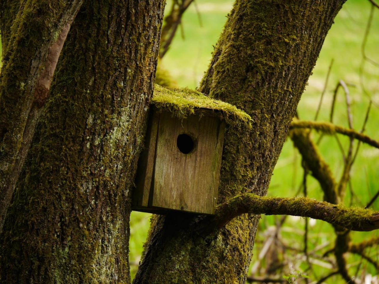 Fewo Kedo Neukirchen vorm Wald 외부 사진