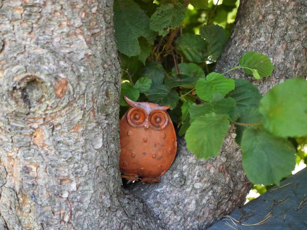 Fewo Kedo Neukirchen vorm Wald 외부 사진
